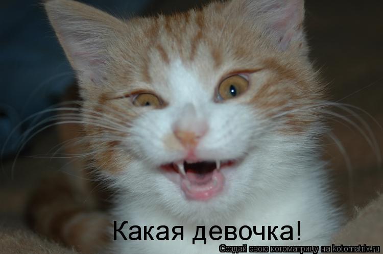 Какая девочка!... Котоматрица: Какая девочка!