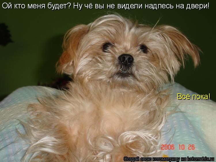 Ой кто меня будет? Ну чё вы не видели надпесь на двери! Всё пока!... Котоматрица: Ой кто меня будет? Ну чё вы не видели надпесь на двери! Всё пока!