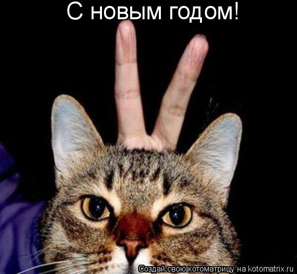 Котоматрица: С новым годом!