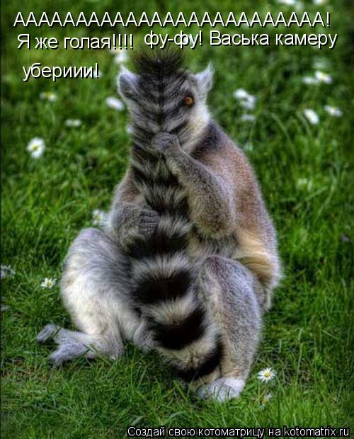 Котоматрица: ААААААААААААААААААААААААА! Я же голая!!!! фу-фу! Васька фу-фу! Васька камеру убериии!