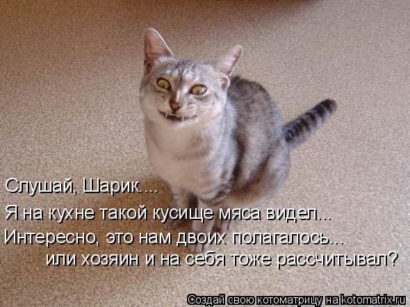Котоматрица: Слушай, Шарик.... Я на кухне такой кусище мяса видел... Интересно, это нам двоих полагалось... или хозяин и на себя тоже рассчитывал?