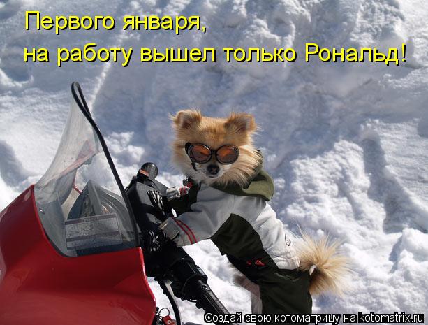 Первого января, на работу вышел только Рональд!... Котоматрица: Первого января, на работу вышел только Рональд!