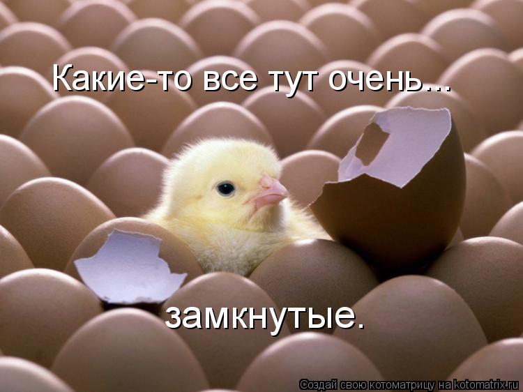 http://kotomatrix.ru/images/lolz/2010/06/04/593889.jpg