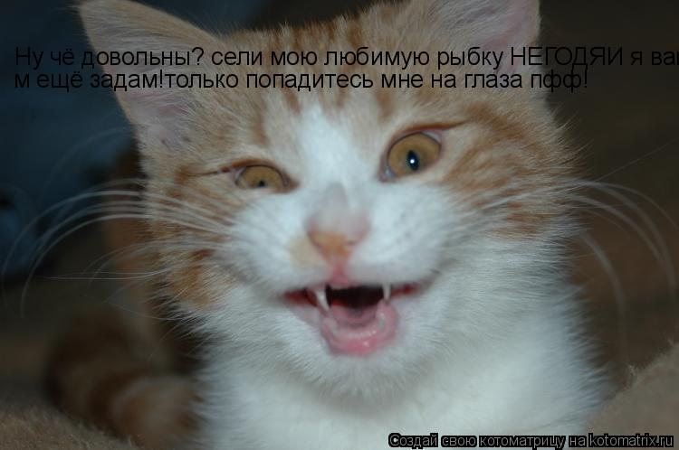 Ну чё довольны? сели мою любимую рыбку НЕГОДЯИ я вам ещё задам!только попадитесь мне на глаза пфф! м ... Котоматрица: Ну чё довольны? сели мою любимую рыбку НЕГОДЯИ я вам ещё задам!только попадитесь мне на глаза пфф! м ещё задам!только попадитесь мне на глаза