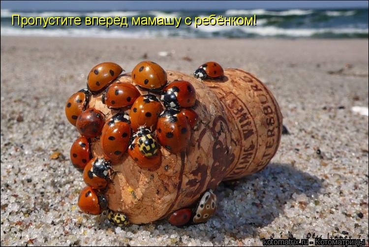 Пропустите вперёд мамашу с ребёнком!... Котоматрица: Пропустите вперёд мамашу с ребёнком!