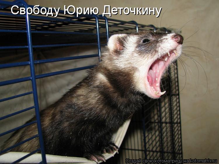 Свободу Юрию Деточкину... Котоматрица: Свободу Юрию Деточкину