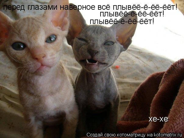 перед глазами наверное всё плывёё-ё-ёё-ёёт! плывёё-ё-ёё-ёёт! плывёё-ё-ёё-ёёт! хе-хе... Котоматрица: перед глазами наверное всё плывёё-ё-ёё-ёёт! плывёё-ё-ёё-ёёт! плывёё-ё-ёё-ёёт! хе-хе