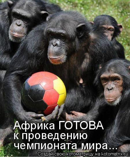 Африка ГОТОВА к проведению чемпионата мира...... Котоматрица: Африка ГОТОВА к проведению чемпионата мира...