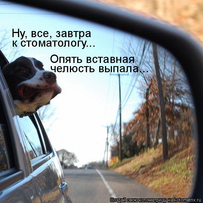 Ну, все, завтра к стоматологу... Опять вставная челюсть выпала...... Котоматрица: Ну, все, завтра к стоматологу... Опять вставная челюсть выпала...