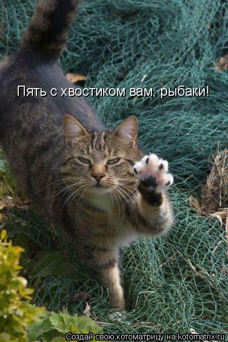 Пять с хвостиком вам, рыбаки!... Котоматрица: Пять с хвостиком вам, рыбаки!