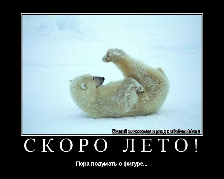 Скоро лето! Пора подумать о фигуре...... Котоматрица: Скоро лето! Пора подумать о фигуре...