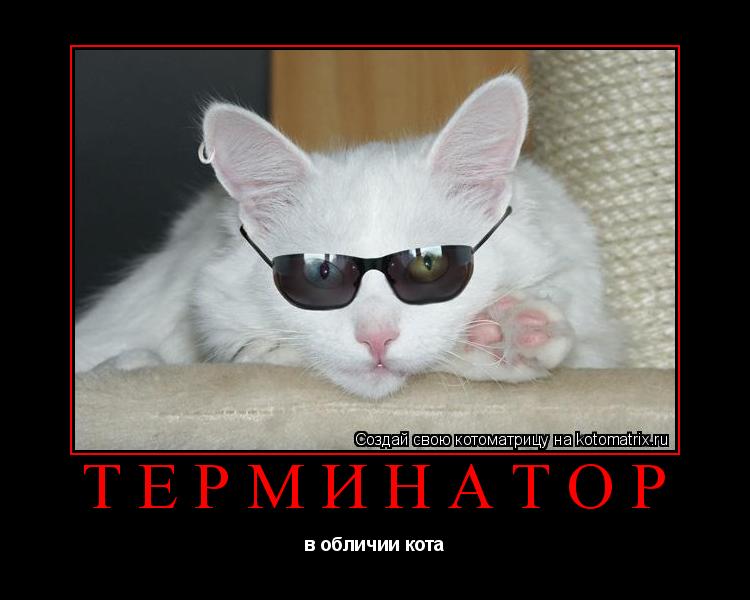 Котоматрица: Терминатор в обличии кота