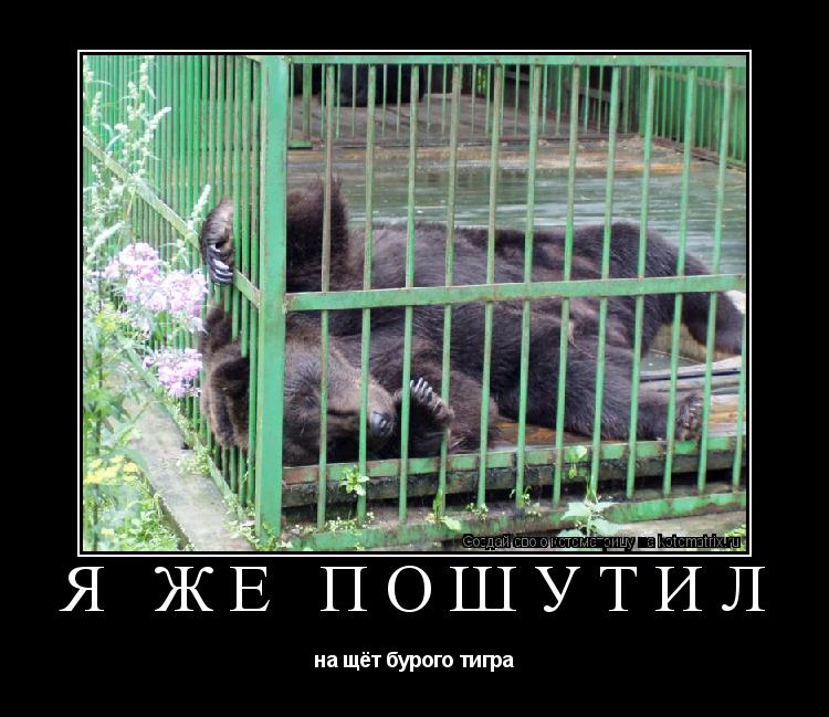 я же пошутил на щёт бурого тигра... Котоматрица: я же пошутил на щёт бурого тигра
