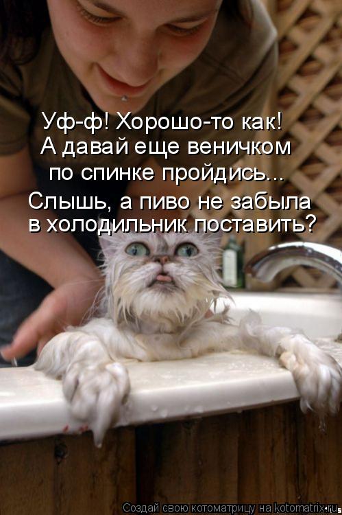 Уф-ф! Хорошо-то как! А давай еще веничком по спинке пройдись... Слышь, а пиво не забыла в холодильни... Котоматрица: Уф-ф! Хорошо-то как! А давай еще веничком по спинке пройдись... Слышь, а пиво не забыла в холодильник поставить?