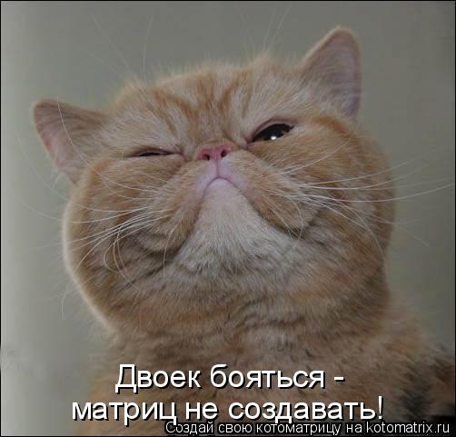 Двоек бояться - матриц не создавать!... Котоматрица: Двоек бояться - матриц не создавать!
