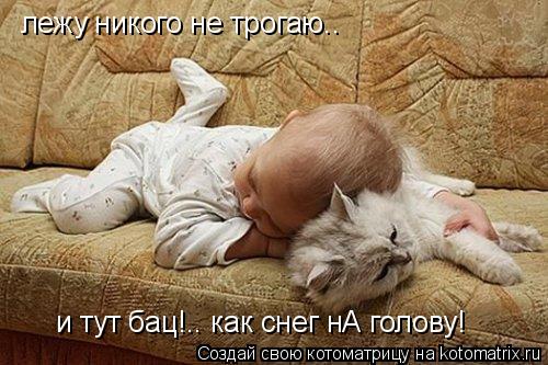 лежу никого не трогаю.. и тут бац!.. как снег нА голову!... Котоматрица: лежу никого не трогаю.. и тут бац!.. как снег нА голову!