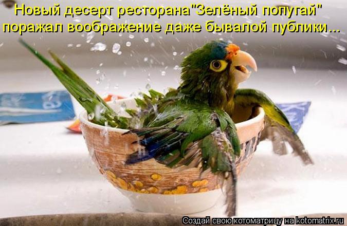 Новый десерт ресторана"Зелёный попугай" поражал воображение даже бывалой публики...... Котоматрица: Новый десерт ресторана"Зелёный попугай" поражал воображение даже бывалой публики...