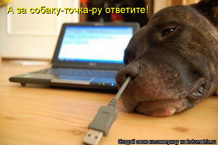 А за собаку-точка-ру ответите!... Котоматрица: А за собаку-точка-ру ответите!
