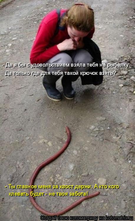 - Да я бы с удовольствием взяла тебя на рыбалку Да только где для тебя такой крючок взять? - Ты главн... Котоматрица: - Да я бы с удовольствием взяла тебя на рыбалку Да только где для тебя такой крючок взять? - Ты главное меня за хвост держи. А кто кого клевать