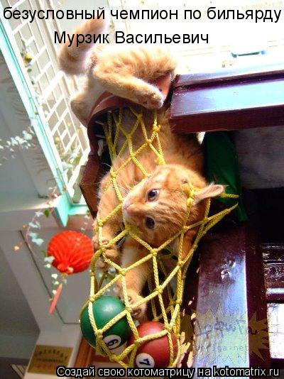 безусловный чемпион по бильярду Мурзик Васильевич... Котоматрица: безусловный чемпион по бильярду Мурзик Васильевич