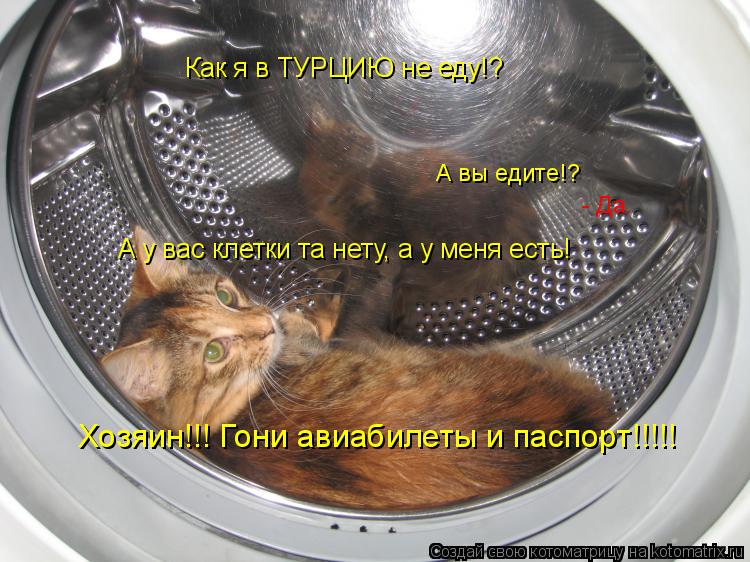 Как я в ТУРЦИЮ не еду!? А вы едите!? - Да. А у вас клетки та нету, а у меня есть! Хозяин!!! Гони авиа... Котоматрица: Как я в ТУРЦИЮ не еду!? А вы едите!? - Да. А у вас клетки та нету, а у меня есть! Хозяин!!! Гони авиабилеты и паспорт!!!!!