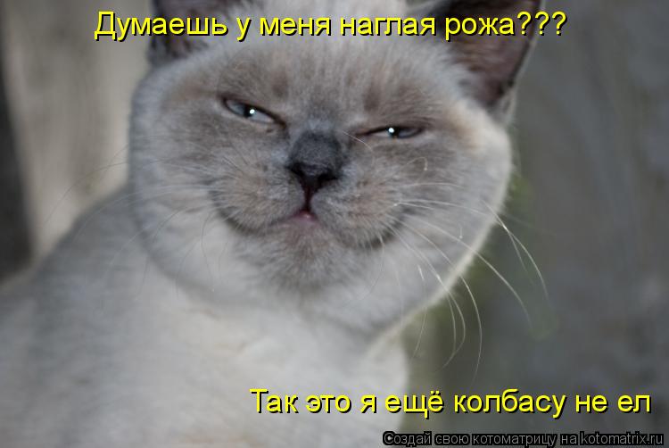 http://kotomatrix.ru/images/lolz/2010/06/05/594106.jpg