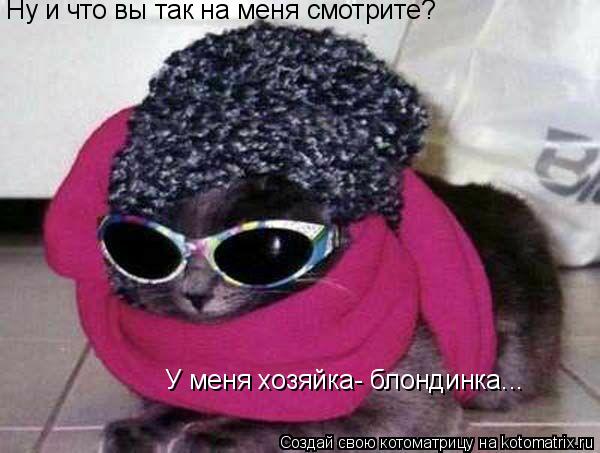 Ну и что вы так на меня смотрите? У меня хозяйка- блондинка...... Котоматрица: Ну и что вы так на меня смотрите? У меня хозяйка- блондинка...