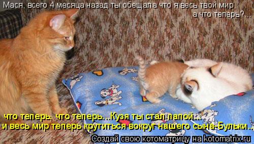 Мася, всего 4 месяца назад ты обещала что я весь твой мир, а что теперь?... что теперь, что теперь...... Котоматрица: Мася, всего 4 месяца назад ты обещала что я весь твой мир, а что теперь?... что теперь, что теперь...Кузя ты стал папой... и весь мир теперь крутит