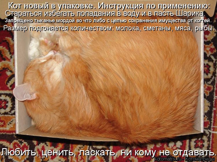 Кот новый в упаковке. Инструкция по применению: Стараться избегать попадания в воду и в пасть Шарика.... Котоматрица: Кот новый в упаковке. Инструкция по применению: Стараться избегать попадания в воду и в пасть Шарика. Запрещено тыканье мордой во что либо с