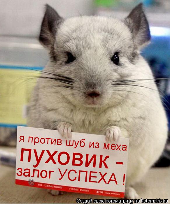 я против шуб из меха пуховик - залог УСПЕХА !... Котоматрица: я против шуб из меха пуховик - залог УСПЕХА !