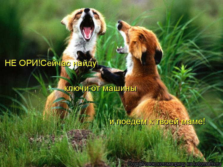 НЕ ОРИ!Сейчас найду ключи от машины и поедем к твоей маме!... Котоматрица: НЕ ОРИ!Сейчас найду ключи от машины и поедем к твоей маме!