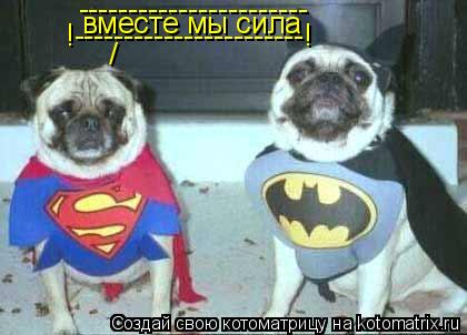 вместе мы сила !-----------------------! ----------------------- /... Котоматрица: вместе мы сила !-----------------------! ----------------------- /