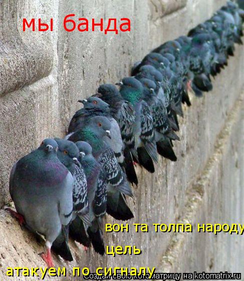 мы банда атакуем по сигналу цель вон та толпа народу... Котоматрица: мы банда атакуем по сигналу цель вон та толпа народу
