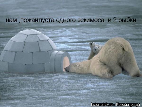 нам ,пожайлуста,одного эскимоса и 2 рыбки... Котоматрица: нам ,пожайлуста,одного эскимоса и 2 рыбки