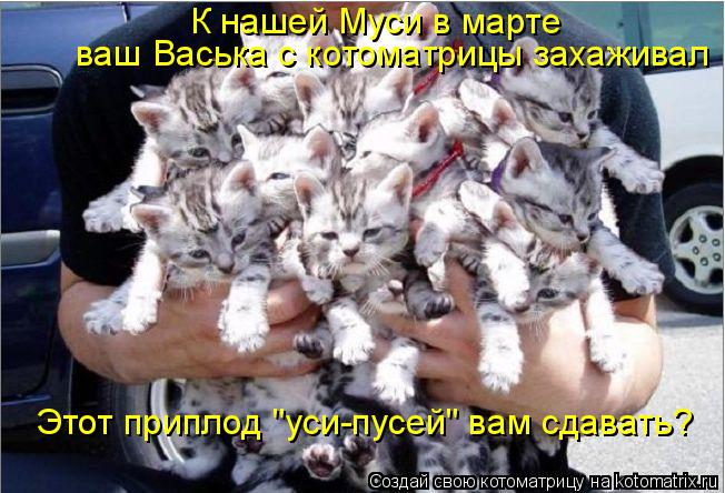 ваш Васька с котоматрицы захаживал К нашей Муси в марте Этот приплод "уси-пусей" вам сдавать?... Котоматрица: ваш Васька с котоматрицы захаживал К нашей Муси в марте Этот приплод "уси-пусей" вам сдавать?