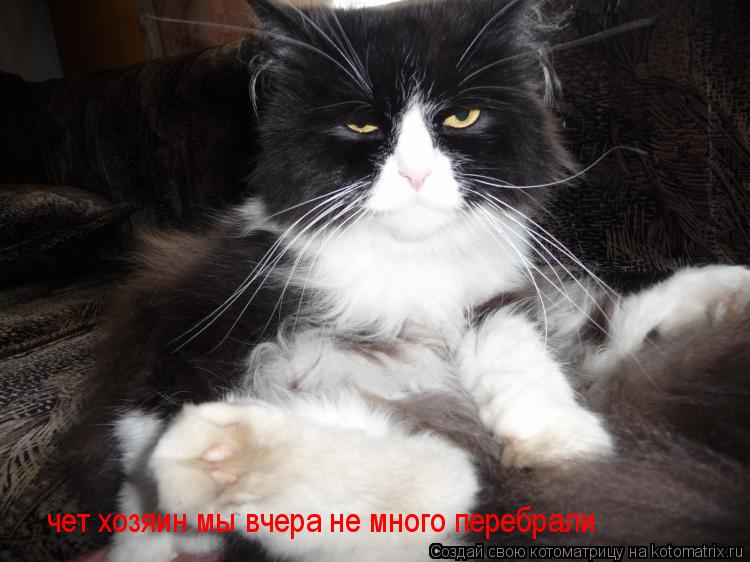 чет хозяин мы вчера не много перебрали... Котоматрица: чет хозяин мы вчера не много перебрали