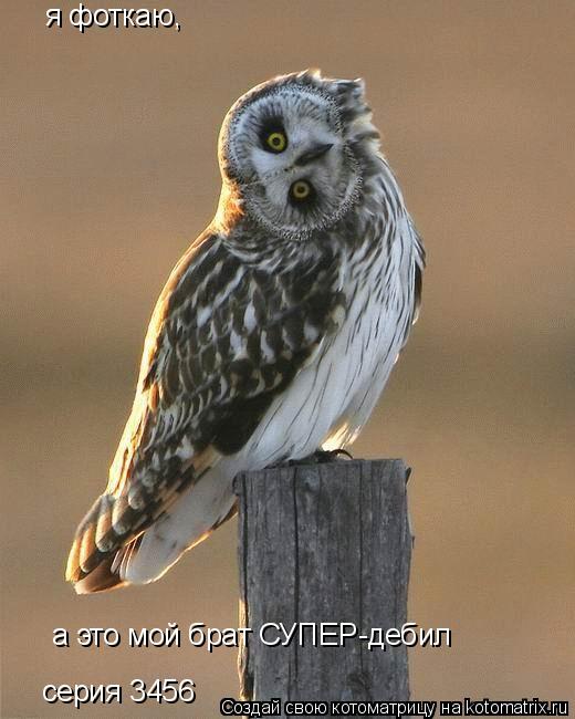 я фоткаю, а это мой брат СУПЕР-дебил серия 3456... Котоматрица: я фоткаю, а это мой брат СУПЕР-дебил серия 3456