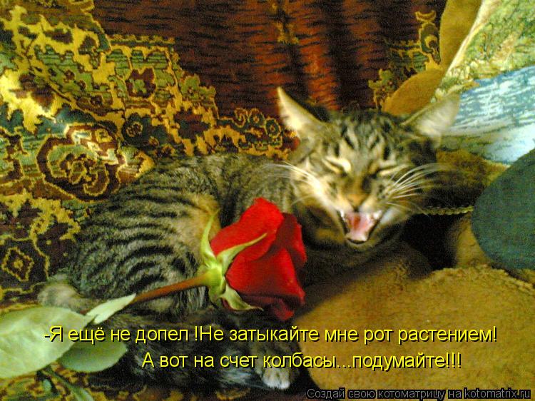 -Я ещё не допел !Не затыкайте мне рот растением! А вот на счет колбасы...подумайте!!!... Котоматрица: -Я ещё не допел !Не затыкайте мне рот растением! А вот на счет колбасы...подумайте!!!
