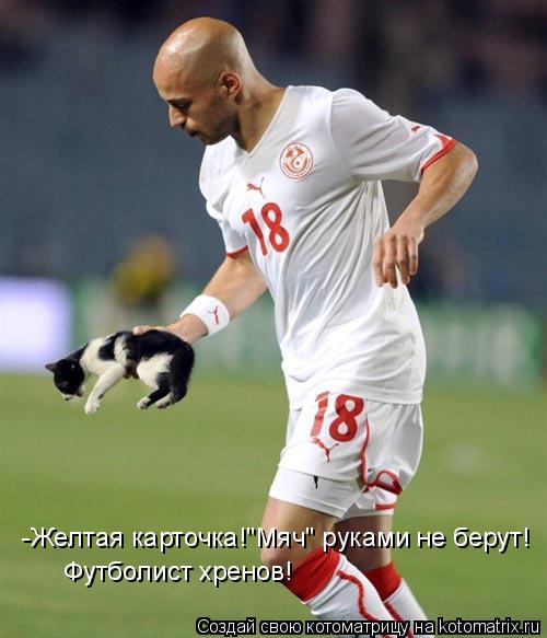 -Желтая карточка!"Мяч" руками не берут! Футболист хренов!... Котоматрица: -Желтая карточка!"Мяч" руками не берут! Футболист хренов!