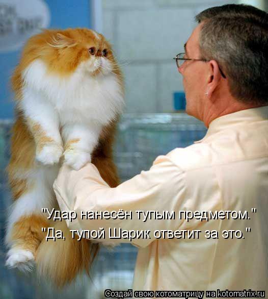 "Удар нанесён тупым предметом." "Да, тупой Шарик ответит за это."... Котоматрица: "Удар нанесён тупым предметом." "Да, тупой Шарик ответит за это."