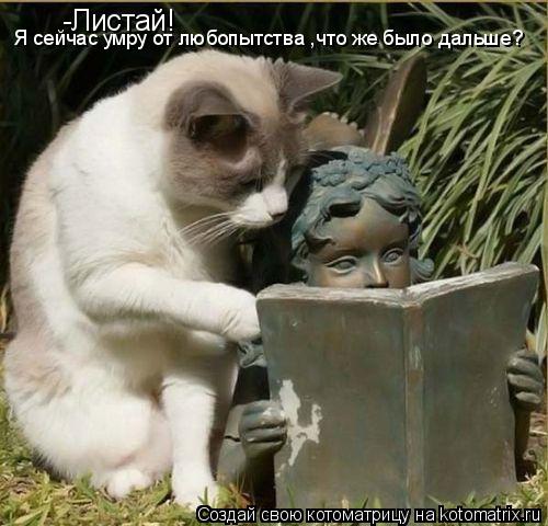 -Листай! Я сейчас умру от любопытства ,что же было дальше?... Котоматрица: -Листай! Я сейчас умру от любопытства ,что же было дальше?