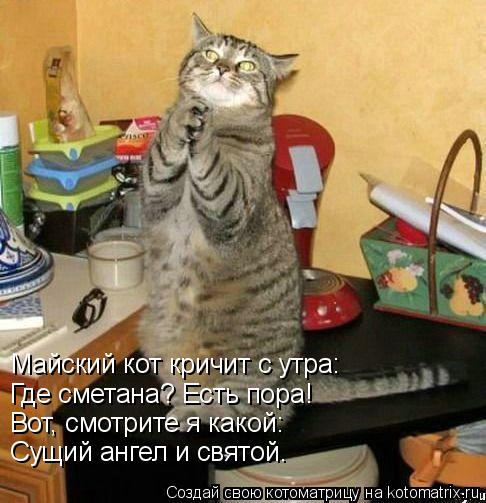 Где сметана? Есть пора! Майский кот кричит с утра: Вот, смотрите я какой: Сущий ангел и святой.... Котоматрица: Где сметана? Есть пора! Майский кот кричит с утра: Вот, смотрите я какой: Сущий ангел и святой.