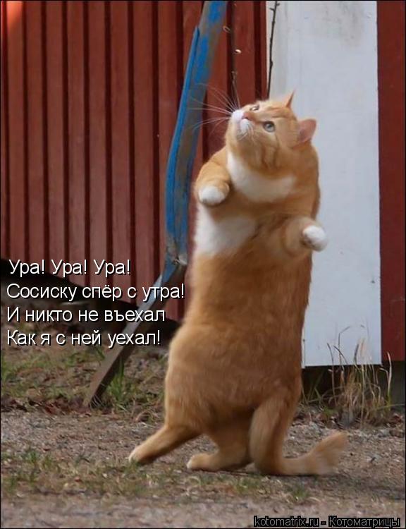 Ура! Ура! Ура! Сосиску спёр с утра! И никто не въехал Как я с ней уехал!... Котоматрица: Ура! Ура! Ура! Сосиску спёр с утра! И никто не въехал Как я с ней уехал!