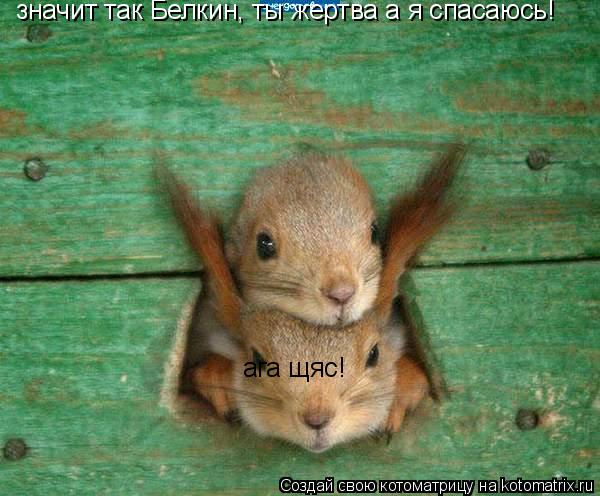 значит так Белкин, ты жертва а я спасаюсь! ага щяс!... Котоматрица: значит так Белкин, ты жертва а я спасаюсь! ага щяс!