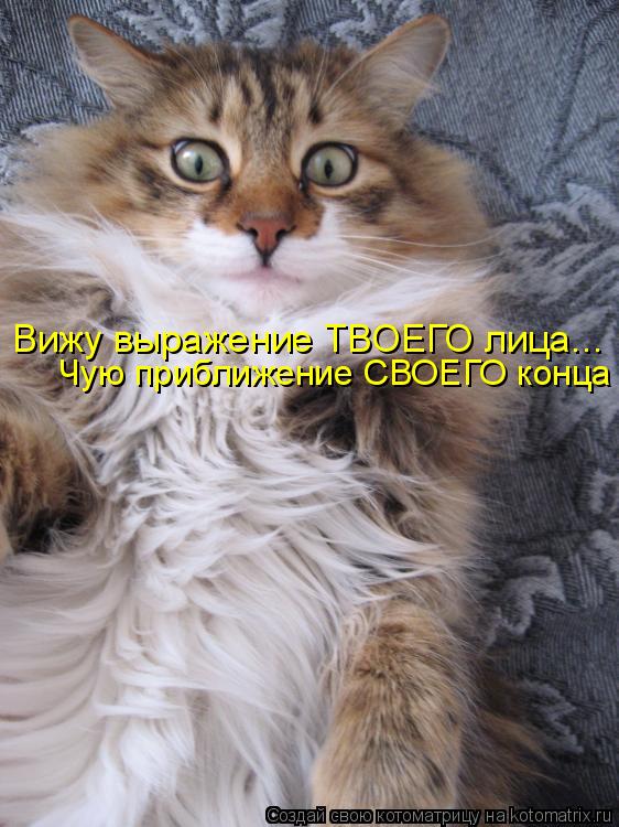 Вижу выражение ТВОЕГО лица... Чую приближение СВОЕГО конца... Котоматрица: Вижу выражение ТВОЕГО лица... Чую приближение СВОЕГО конца
