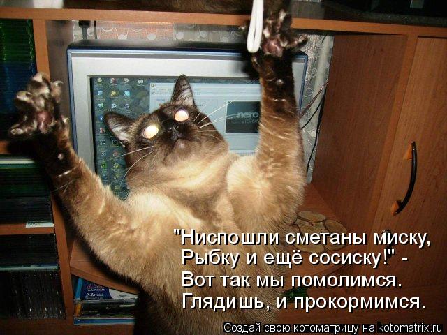 "Ниспошли сметаны миску, Рыбку и ещё сосиску!" - Вот так мы помолимся. Глядишь, и прокормимся.... Котоматрица: "Ниспошли сметаны миску, Рыбку и ещё сосиску!" - Вот так мы помолимся. Глядишь, и прокормимся.