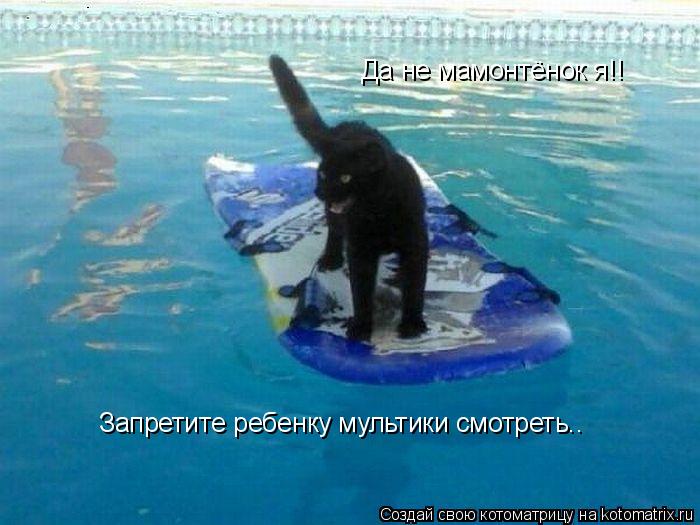 Да не мамонтёнок я!! Запретите ребенку мультики смотреть..... Котоматрица: Да не мамонтёнок я!! Запретите ребенку мультики смотреть..