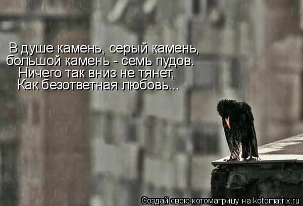 В душе камень, серый камень, большой камень - семь пудов. Ничего так вниз не тянет, Как безответная л... Котоматрица: В душе камень, серый камень, большой камень - семь пудов. Ничего так вниз не тянет, Как безответная любовь...