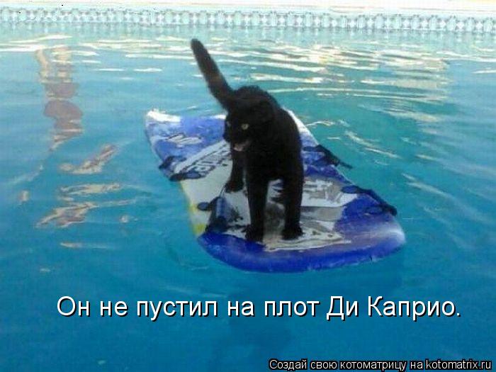 Он не пустил на плот Ди Каприо.... Котоматрица: Он не пустил на плот Ди Каприо.