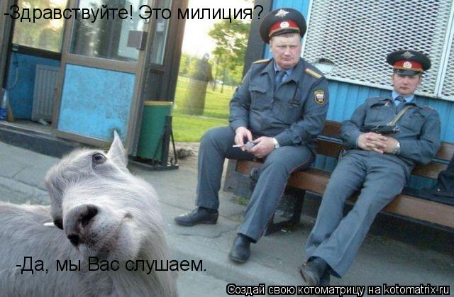 -Здравствуйте! Это милиция? -Здравствуйте! Это милиция? -Да, мы Вас слушаем.... Котоматрица: -Здравствуйте! Это милиция? -Здравствуйте! Это милиция? -Да, мы Вас слушаем.